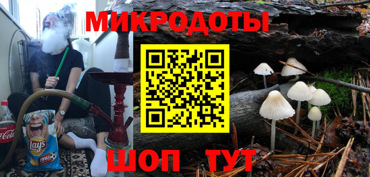 Псилоцибиновые грибы мицелий Киселёвск
